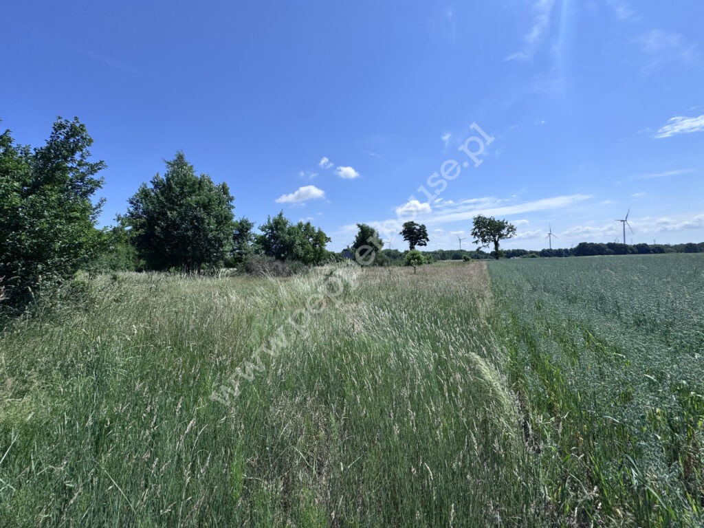 Działka na sprzedaż, pomorskie, Wrzeście - zdjęcie ofertowe nr 4
