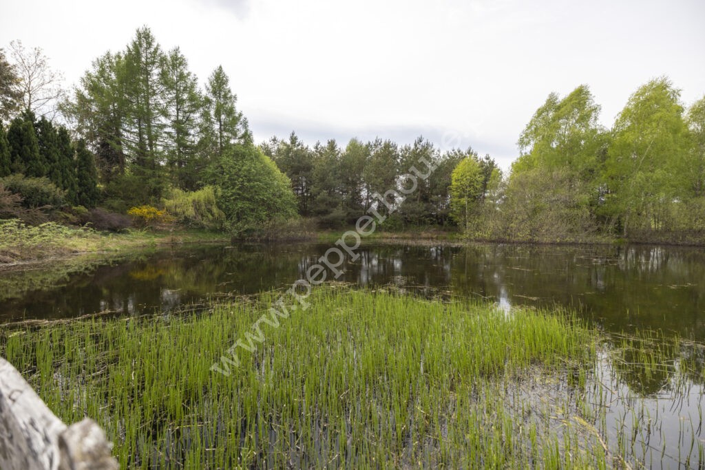 , pomorskie, Kaplica - listing photo no. 14