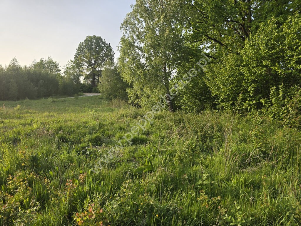Działka na sprzedaż, pomorskie, Żukowo, Sosnowa - zdjęcie ofertowe nr 5