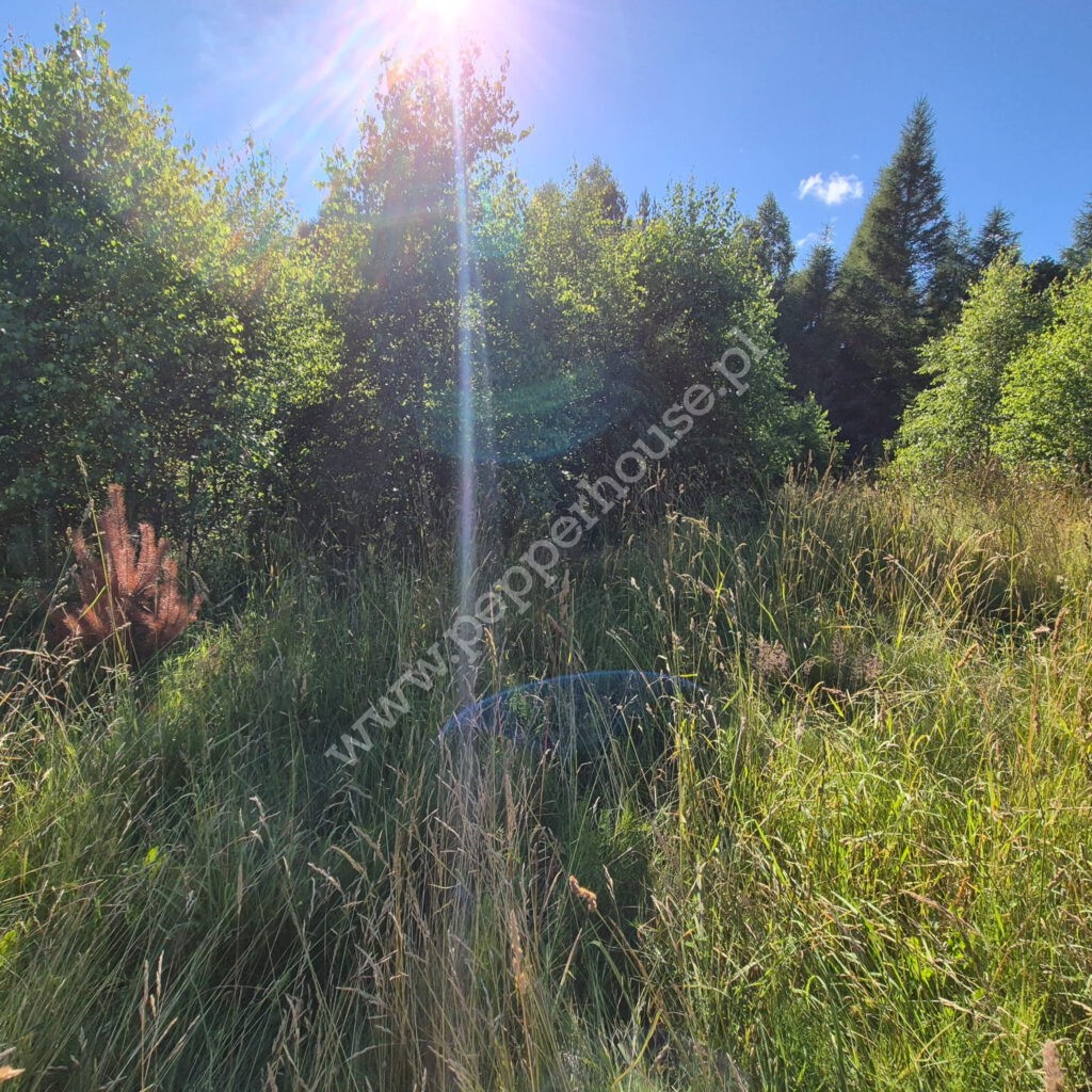 , pomorskie, Domatówko, Sosnowa - listing photo no. 7