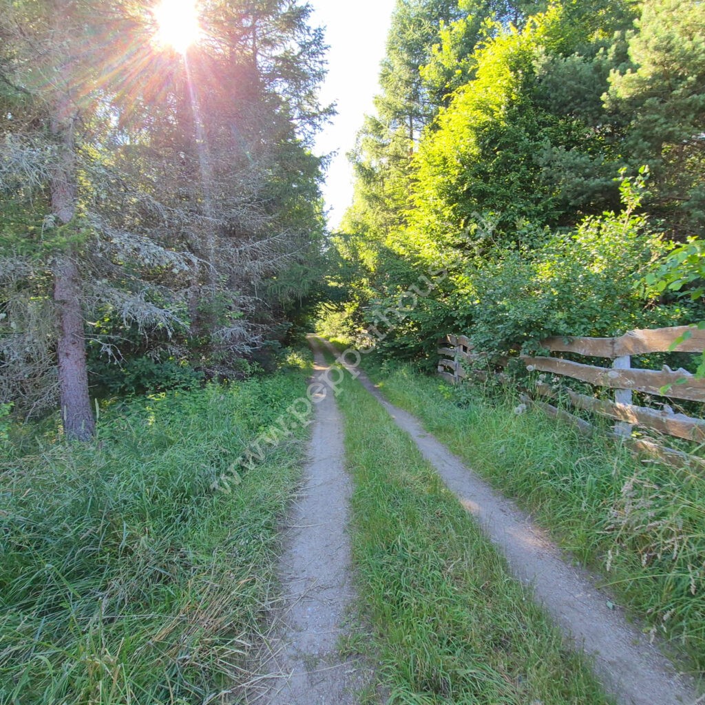 , pomorskie, Domatówko, Sosnowa - listing photo no. 8