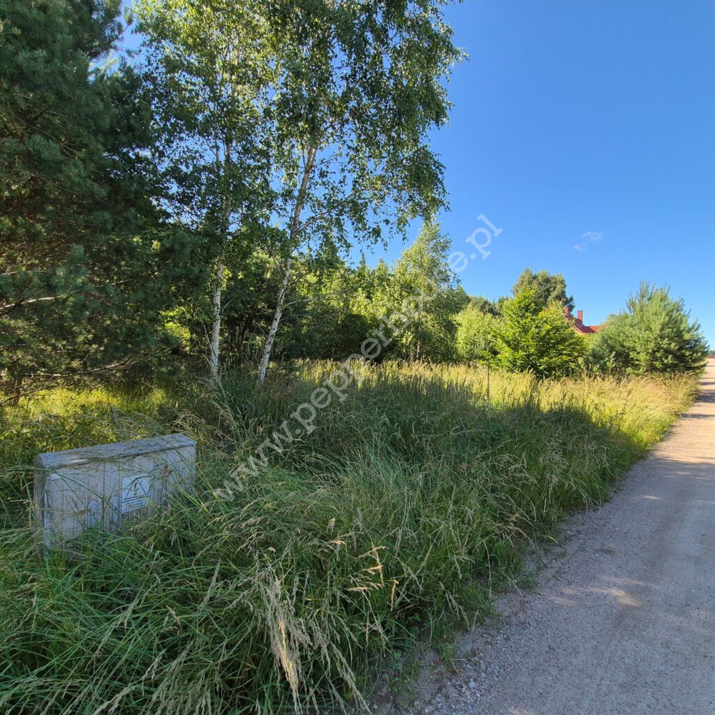 , pomorskie, Domatówko, Sosnowa - listing photo no. 3