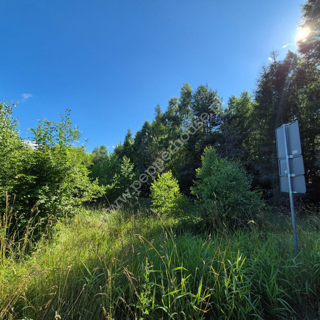 , pomorskie, Domatówko, Sosnowa - listing photo no. 6