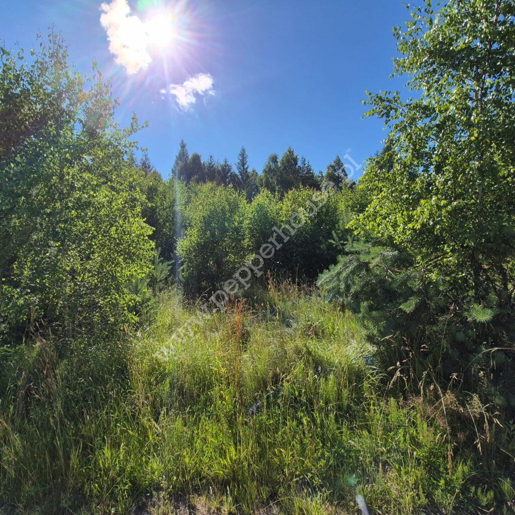 , pomorskie, Domatówko, Sosnowa - listing photo no. 1