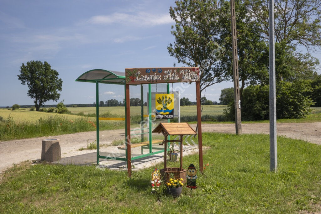 , pomorskie, Lasowice Małe - listing photo no. 14