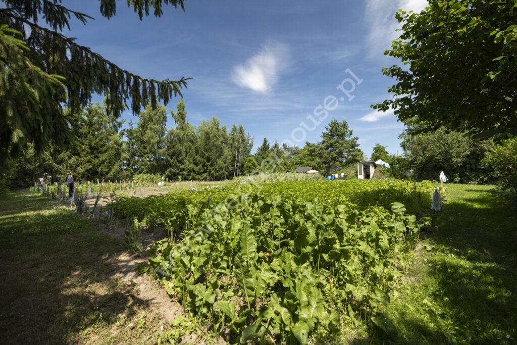 , pomorskie, Lasowice Małe - listing photo no. 22