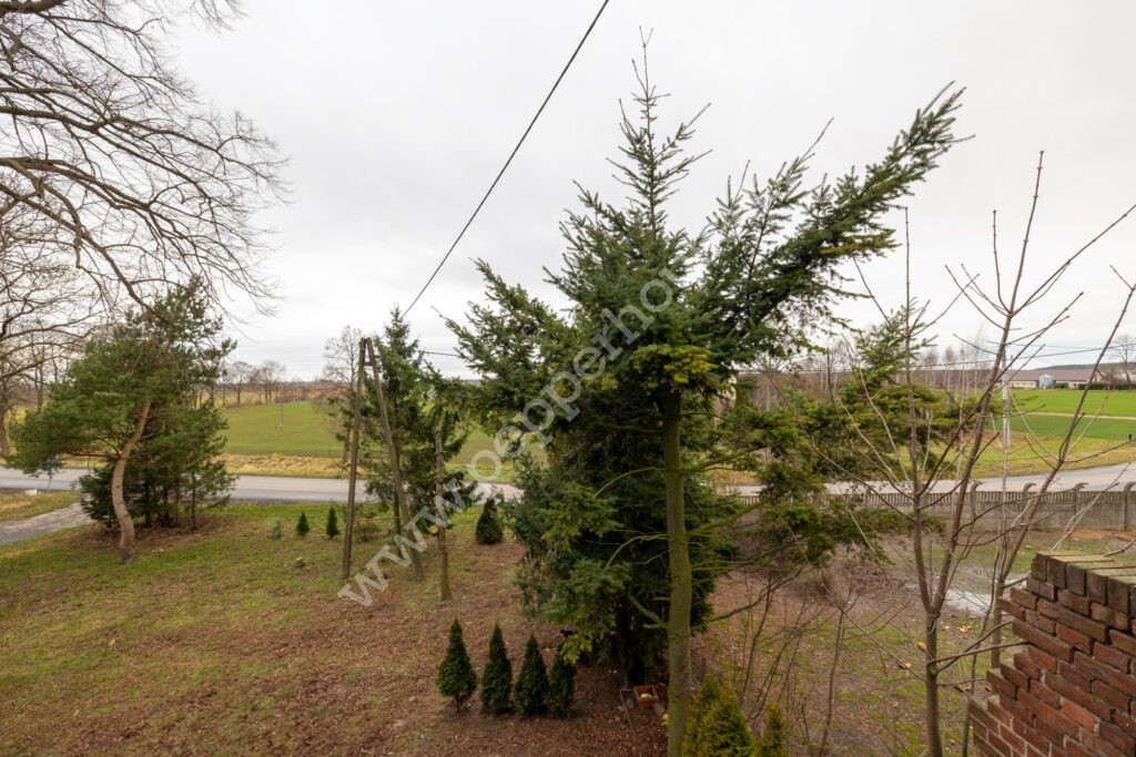 , pomorskie, Mikoszewo, Żuławska - listing photo no. 11
