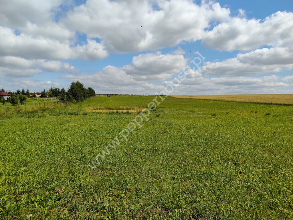 Działka na sprzedaż, warmińsko-mazurskie, Stegny - zdjęcie ofertowe nr 2
