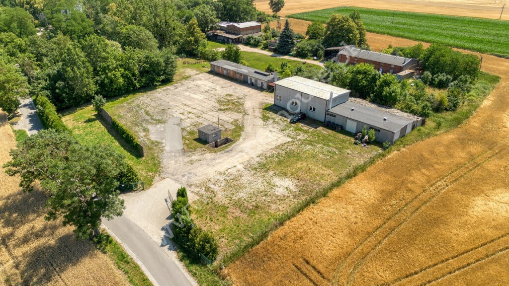 , kujawsko-pomorskie, Młodocin - listing photo no. 1