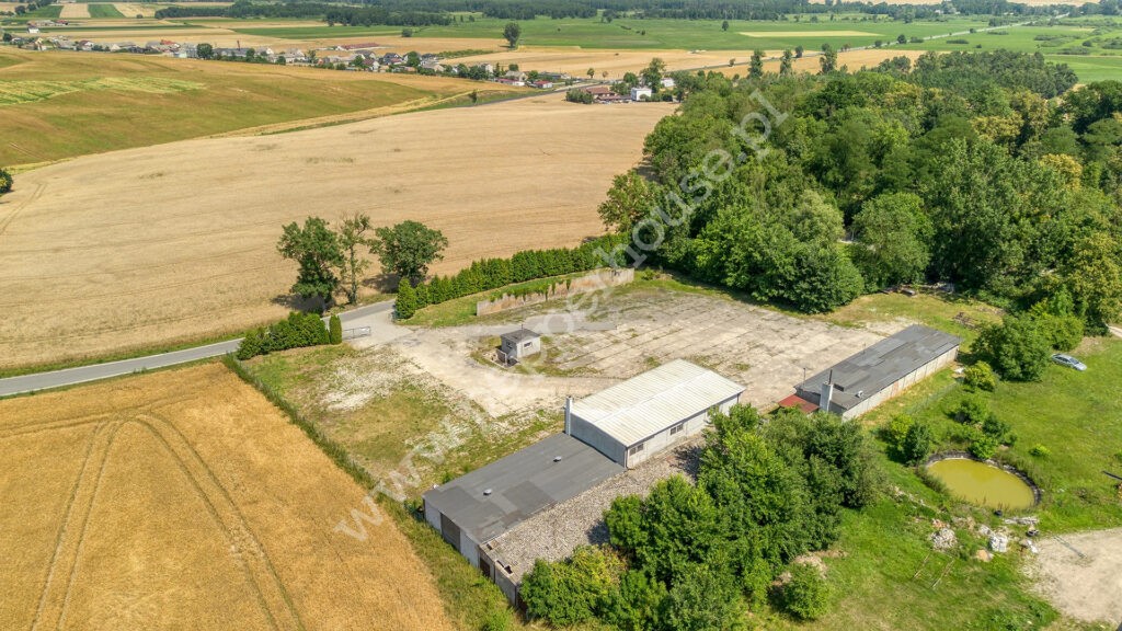 , kujawsko-pomorskie, Młodocin - listing photo no. 2