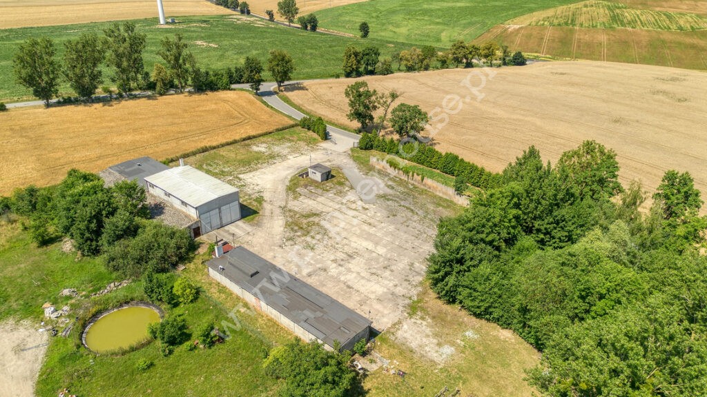 , kujawsko-pomorskie, Młodocin - listing photo no. 3
