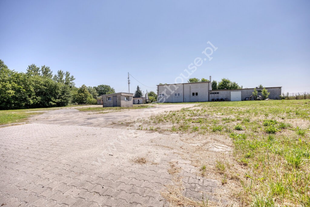 , kujawsko-pomorskie, Młodocin - listing photo no. 4