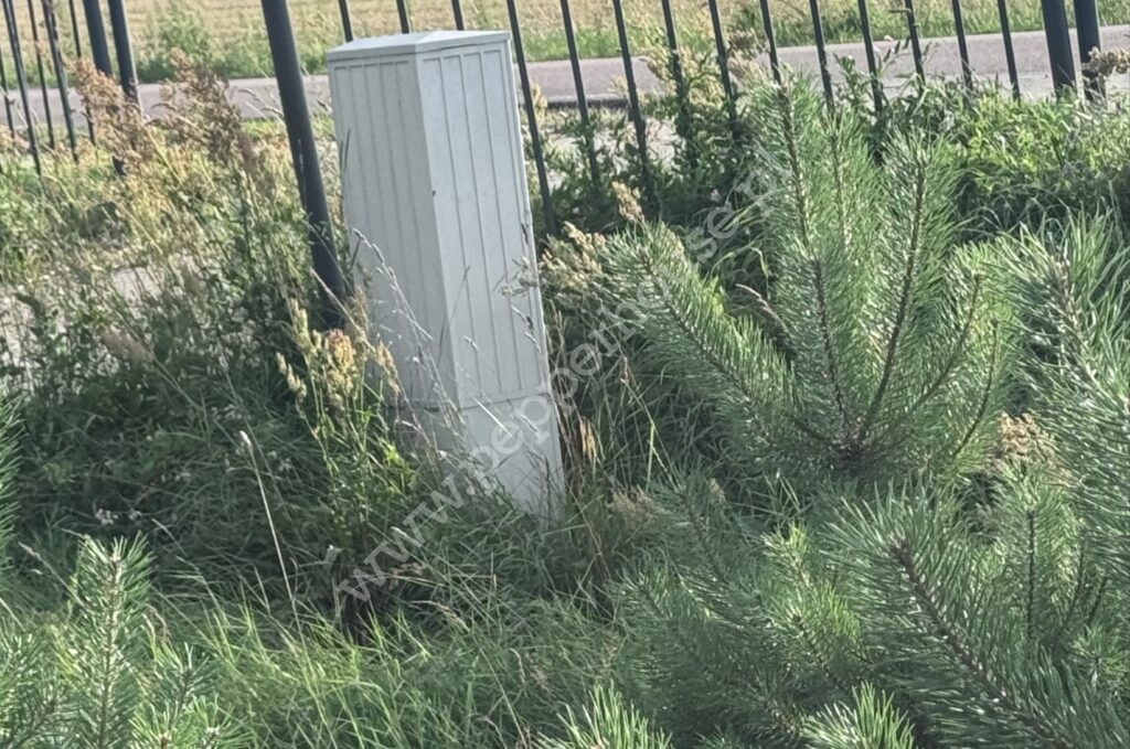 Działka na sprzedaż, pomorskie, Żuromino - zdjęcie ofertowe nr 9