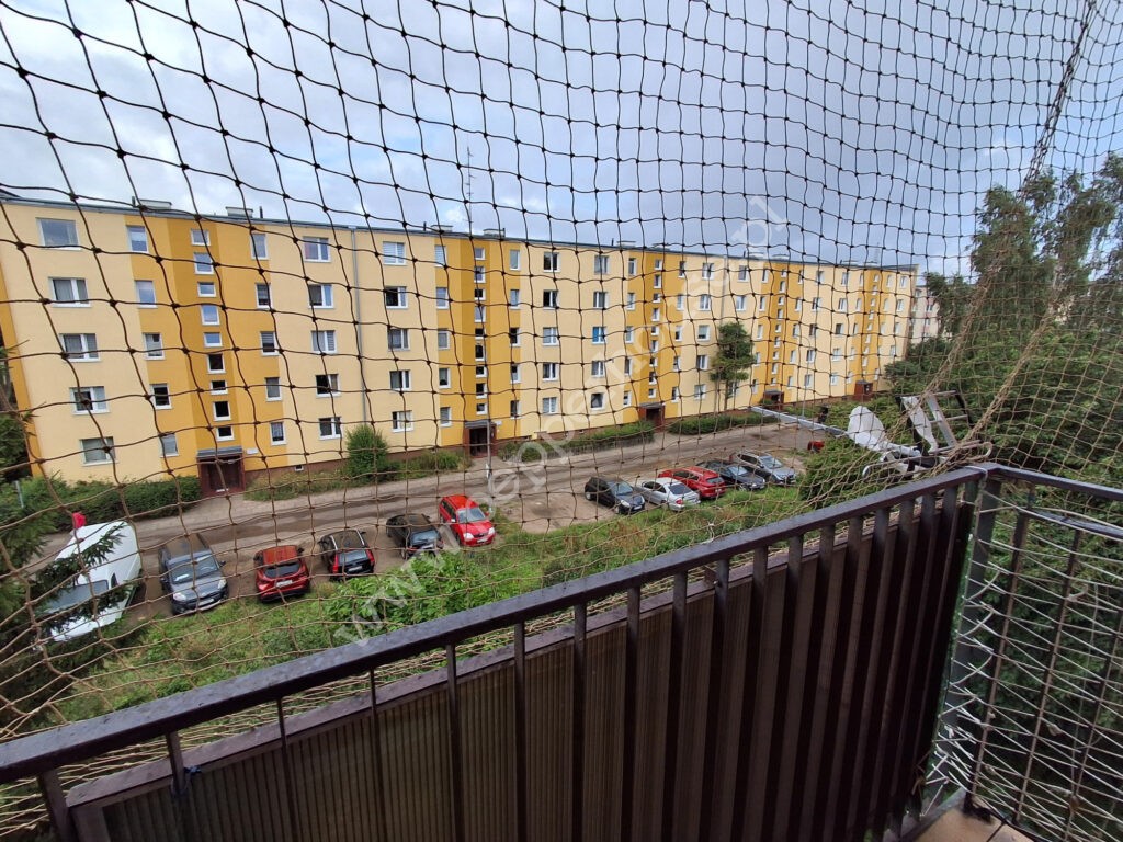 , Gdańsk, Wrzeszcz, Franciszka Bohomolca - listing photo no. 12