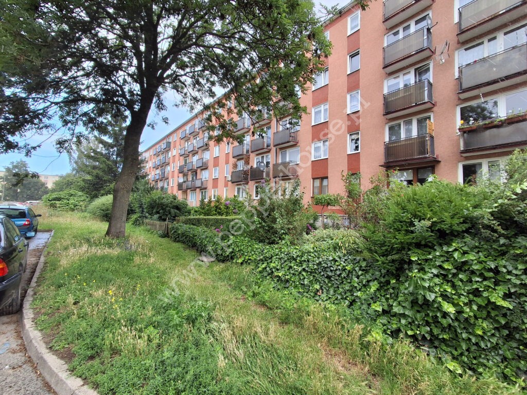 , Gdańsk, Wrzeszcz, Franciszka Bohomolca - listing photo no. 16