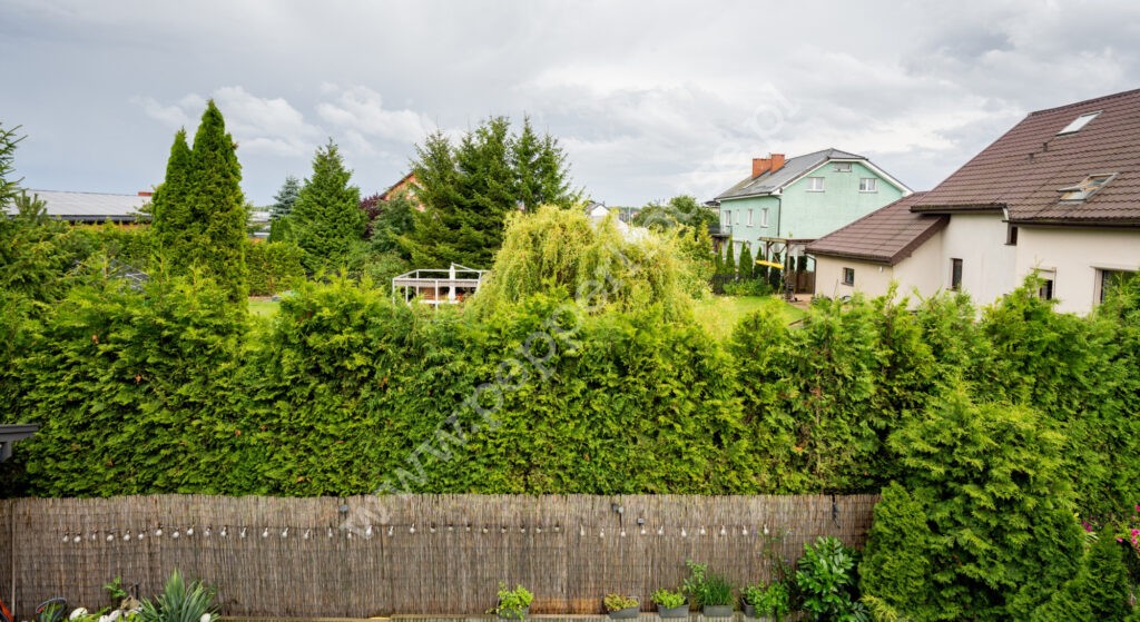 , pomorskie, Kosakowo, Krasickiego - listing photo no. 22