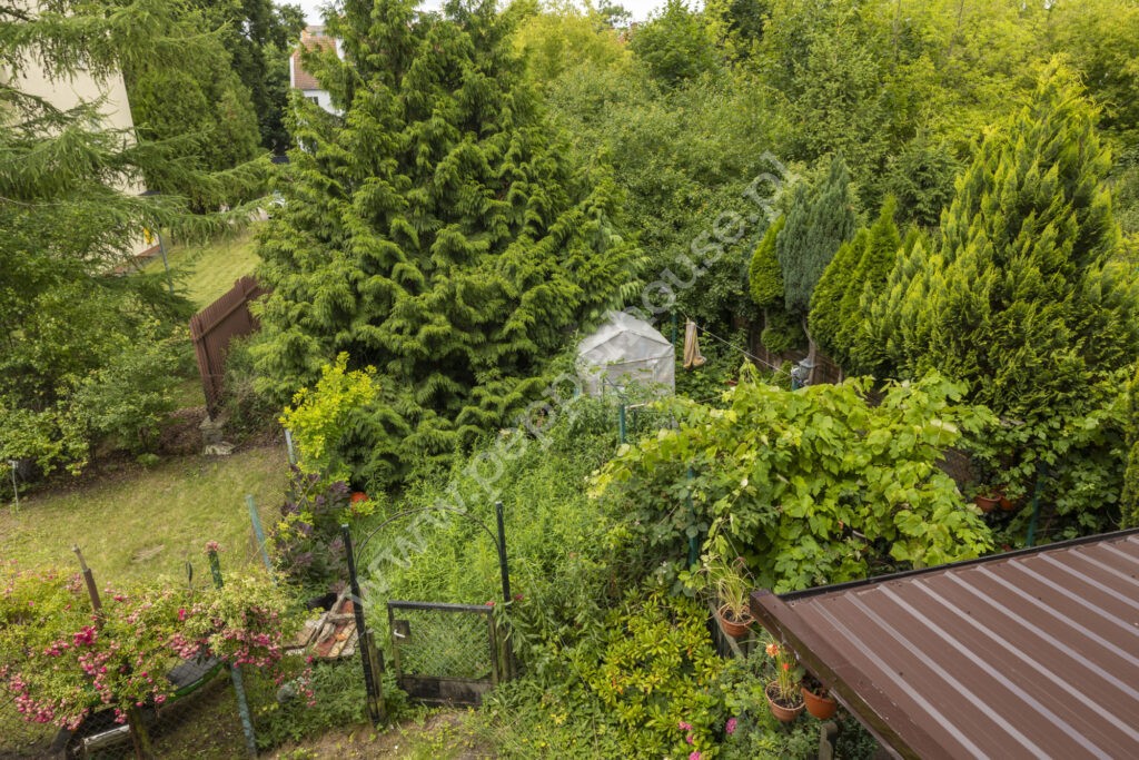 , Gdańsk, Wrzeszcz, Jana Kochanowskiego - listing photo no. 7