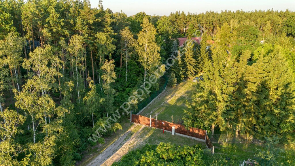 , kujawsko-pomorskie, Niwy - listing photo no. 2