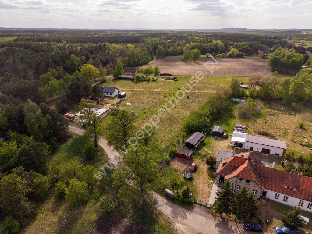, kujawsko-pomorskie, Kornelin, Szczupakowa - listing photo no. 2