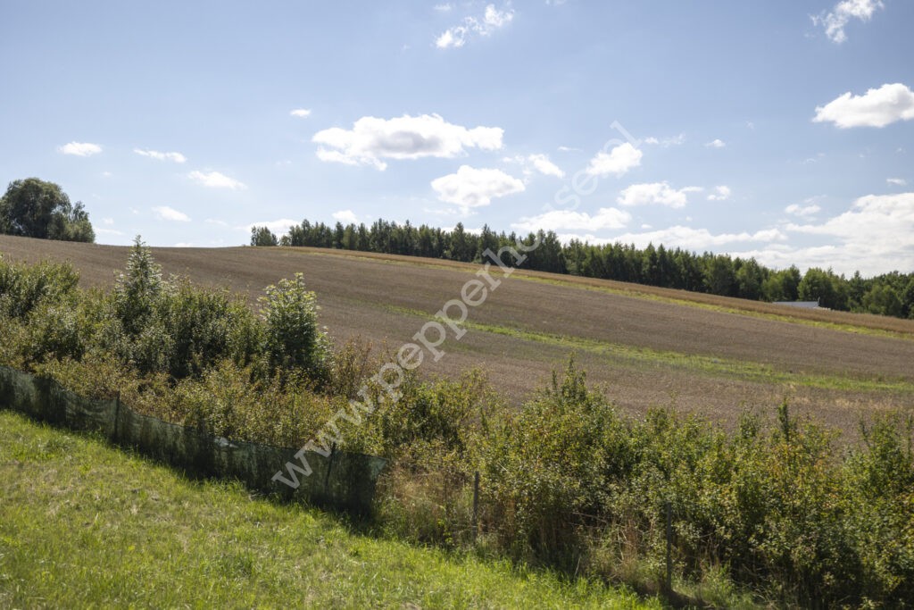 , pomorskie, Zła Wieś - listing photo no. 23