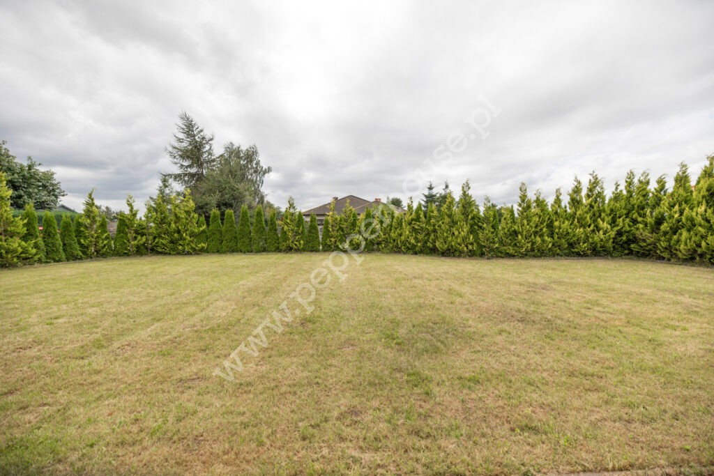 , pomorskie, Żelistrzewo - listing photo no. 19