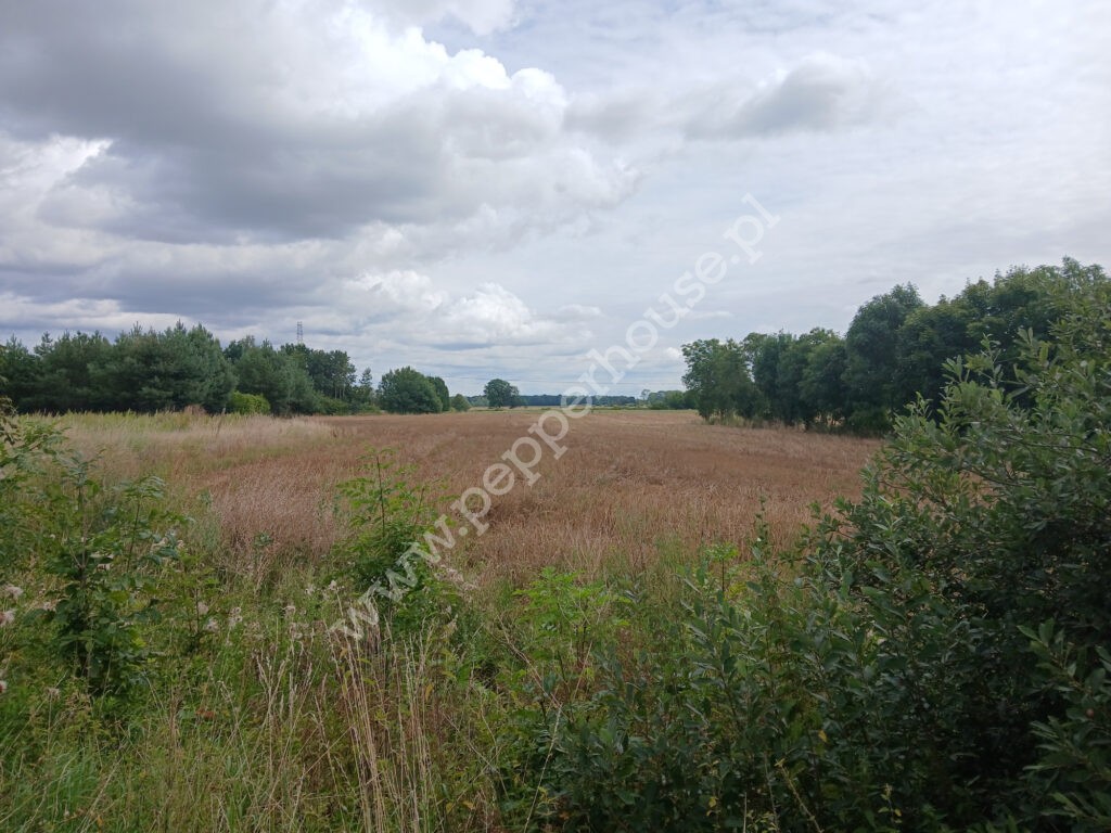 , pomorskie, Grabiny-Zameczek - listing photo no. 3