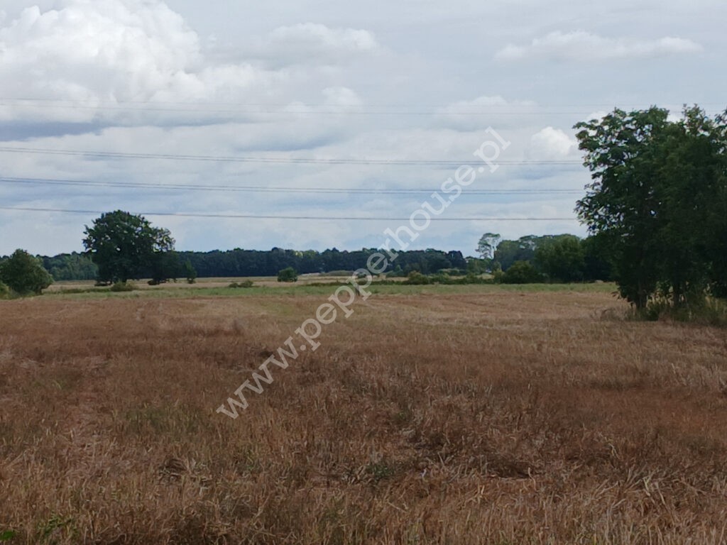 , pomorskie, Grabiny-Zameczek - listing photo no. 2