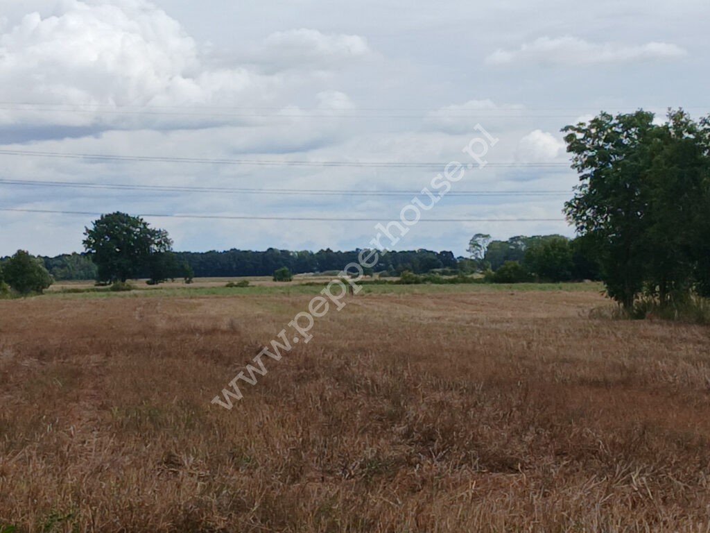 , pomorskie, Grabiny-Zameczek - listing photo no. 4