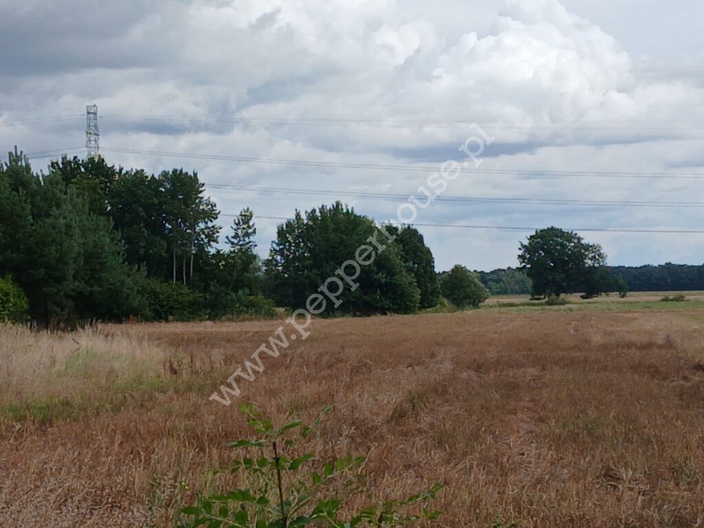 , pomorskie, Grabiny-Zameczek - listing photo no. 5