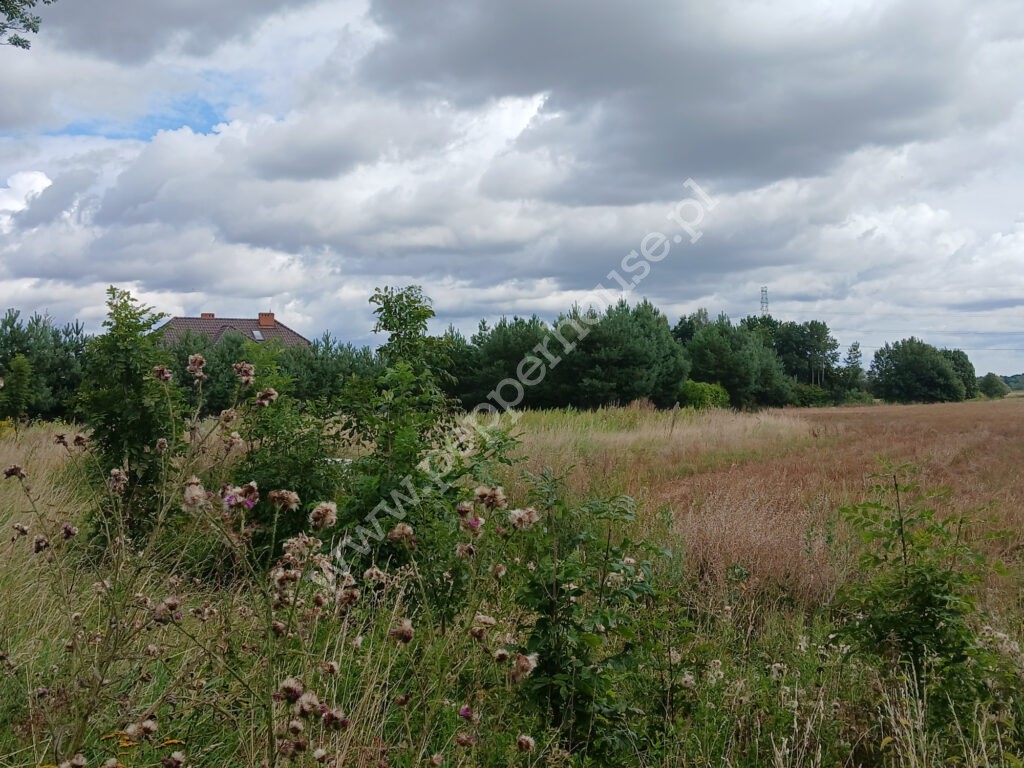 , pomorskie, Grabiny-Zameczek - listing photo no. 7