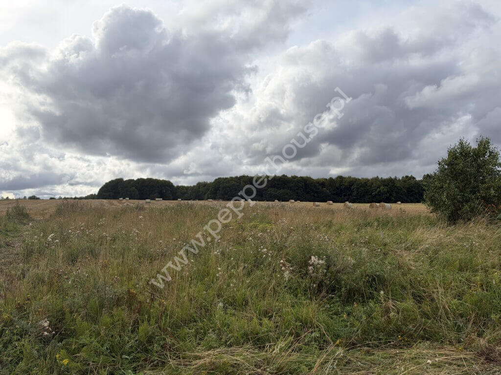 Działka na sprzedaż, pomorskie, Domatowo, Złota - zdjęcie ofertowe nr 13