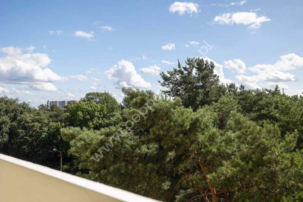 Mieszkanie na sprzedaż, Gdańsk, Brzeźno, Gdańska - zdjęcie ofertowe nr 17