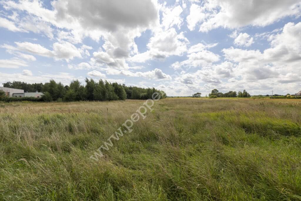 Działka na sprzedaż, pomorskie, Mikoszewo, Gdańska - zdjęcie ofertowe nr 5