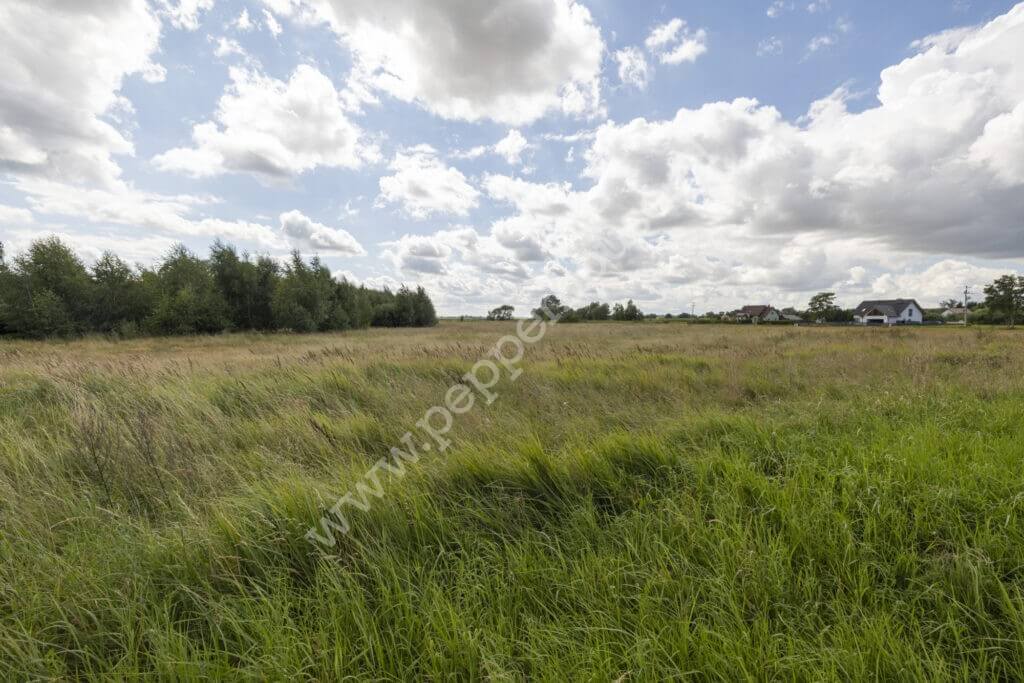 Działka na sprzedaż, pomorskie, Mikoszewo, Gdańska - zdjęcie ofertowe nr 6