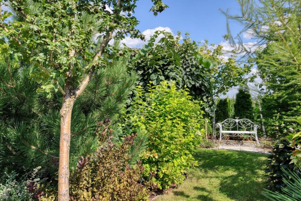 , kujawsko-pomorskie, Jankowo - listing photo no. 41