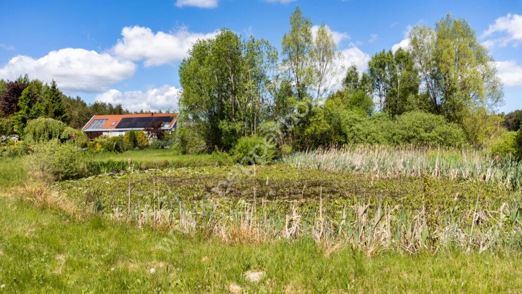 Działka na sprzedaż, pomorskie, Bieszkowice, Klonowa - zdjęcie ofertowe nr 4