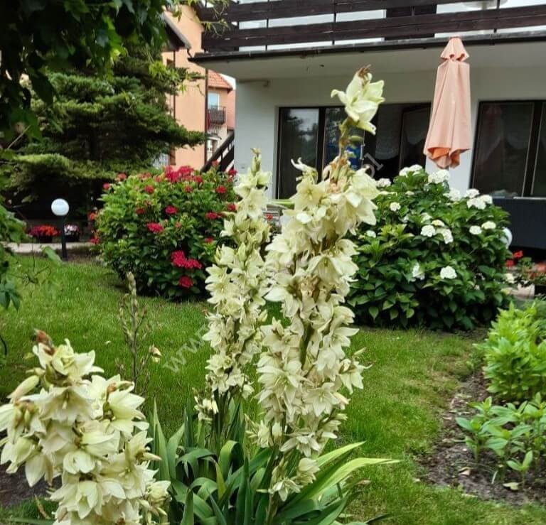 Dom na sprzedaż, pomorskie, Ustka, Żeglarzy - zdjęcie ofertowe nr 1