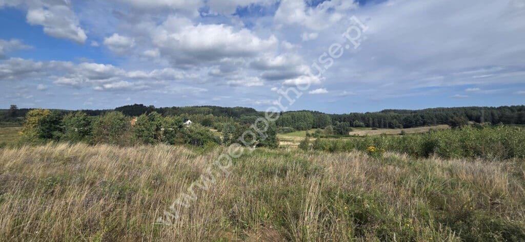 , pomorskie, Chwaszczyno, Rewerenda - listing photo no. 2