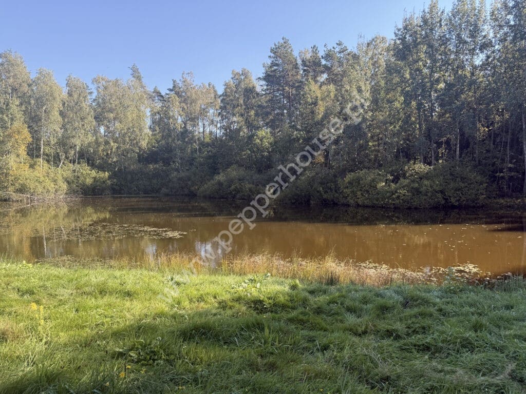 , Nowa Karczma, Horniki Górne, Horniki Górne - listing photo no. 6