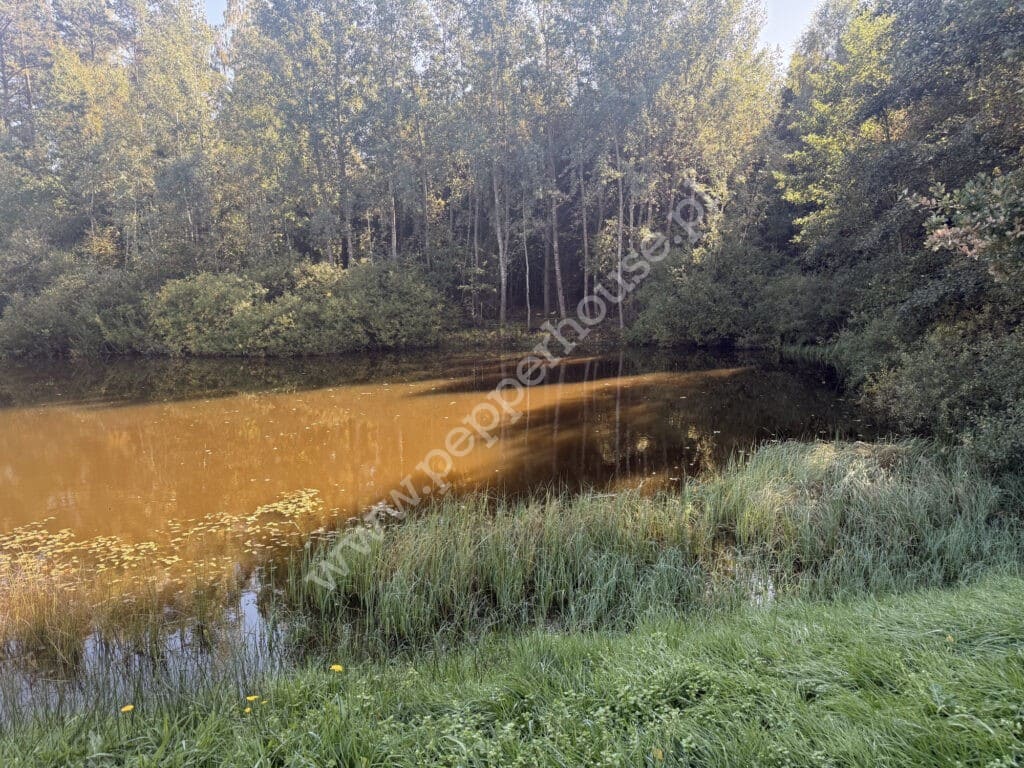 , Nowa Karczma, Horniki Górne, Horniki Górne - listing photo no. 7