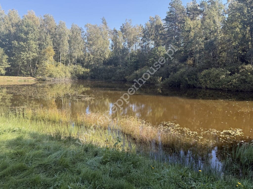 , Nowa Karczma, Horniki Górne, Horniki Górne - listing photo no. 11