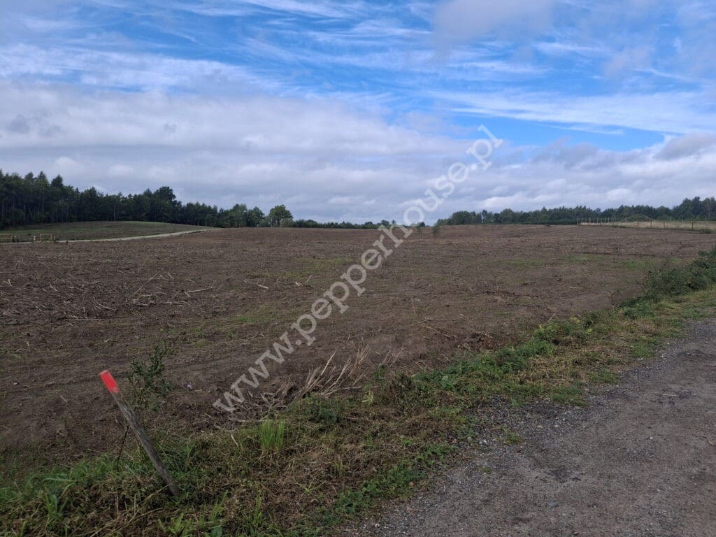 Działka na sprzedaż, pomorskie, Staniszewo, Rajska - zdjęcie ofertowe nr 14