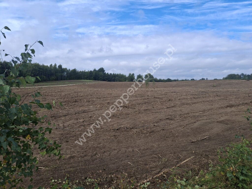 Działka na sprzedaż, pomorskie, Staniszewo, Rajska - zdjęcie ofertowe nr 11