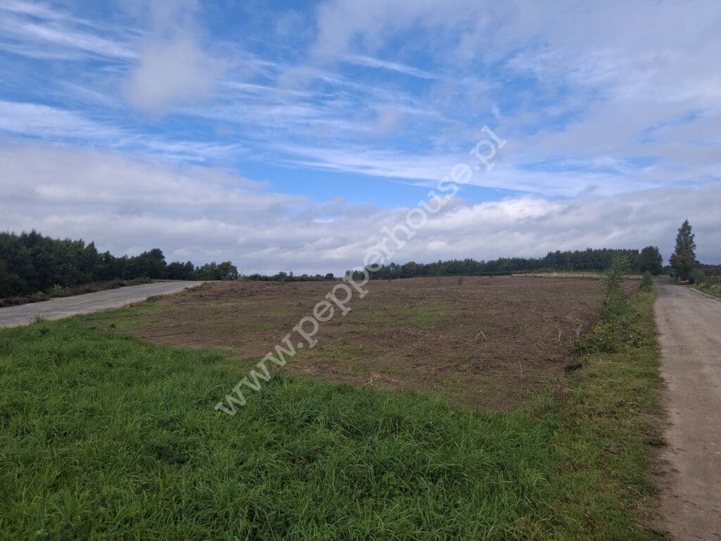 Działka na sprzedaż, pomorskie, Staniszewo, Rajska - zdjęcie ofertowe nr 12