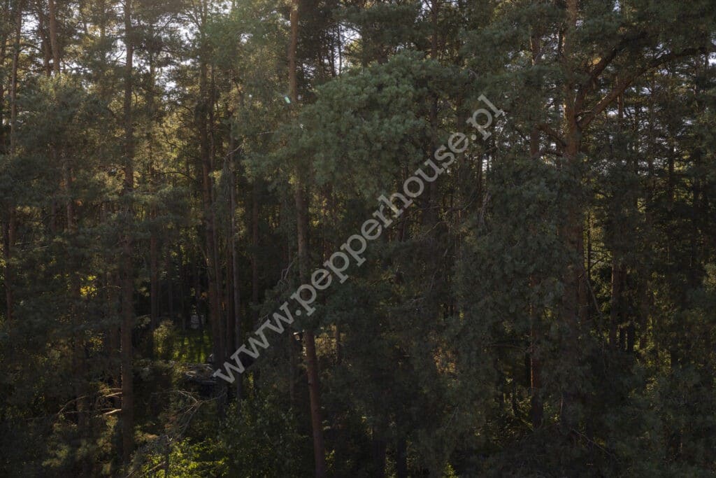 , pomorskie, Borowo, Długa - listing photo no. 24