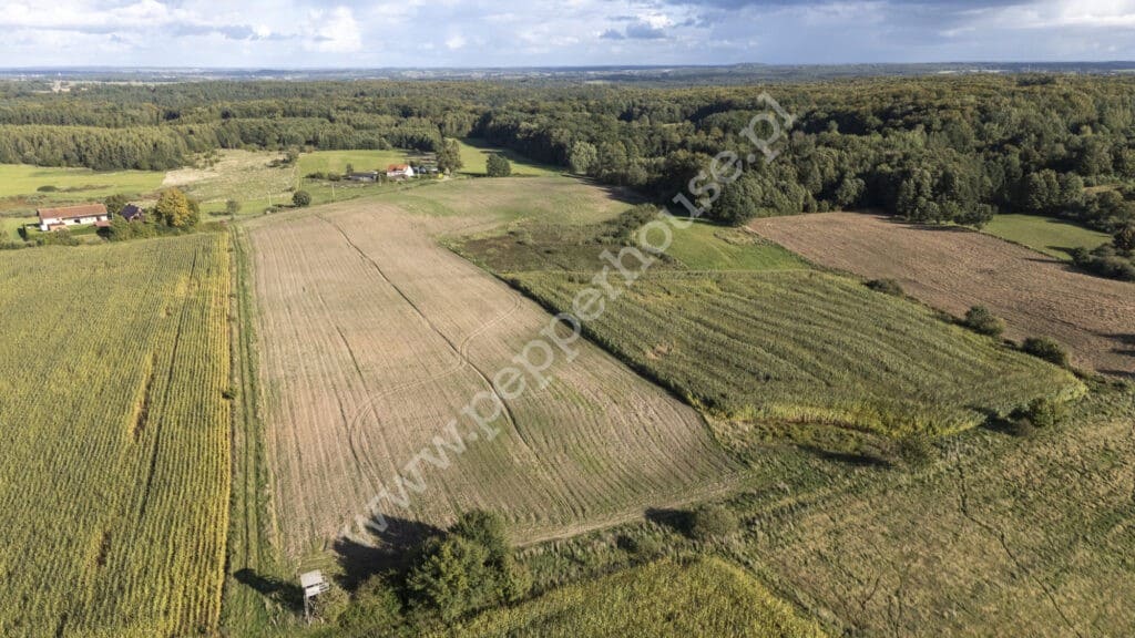Działka na sprzedaż, warmińsko-mazurskie, Strużyna - zdjęcie ofertowe nr 2