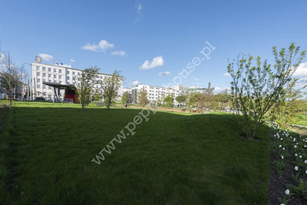 , Gdynia, Wzgórze Św. Maksymiliana, bp. Dominika - listing photo no. 10