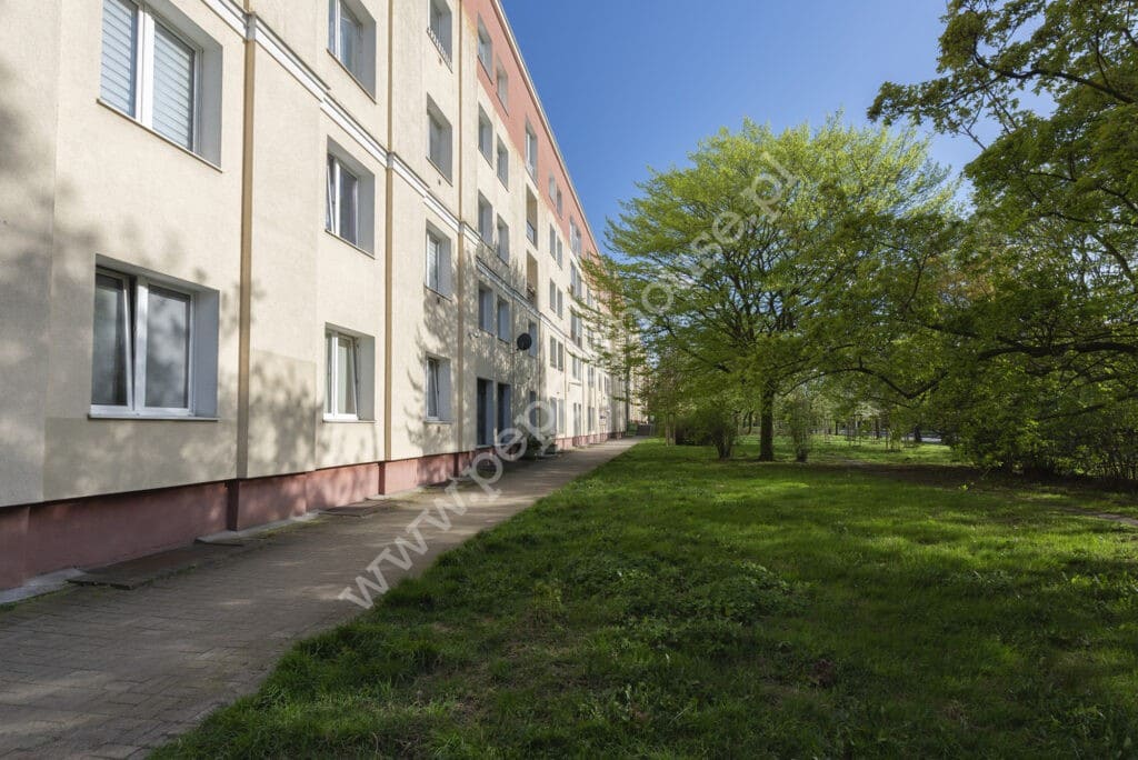 , Gdynia, Wzgórze Św. Maksymiliana, bp. Dominika - listing photo no. 12