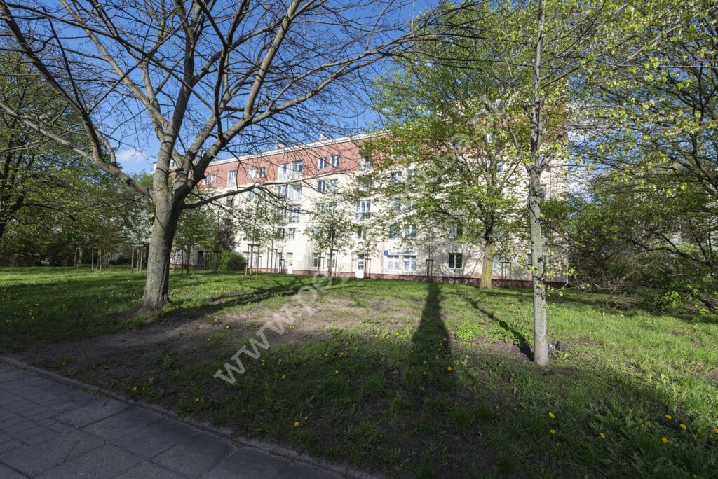 , Gdynia, Wzgórze Św. Maksymiliana, bp. Dominika - listing photo no. 13