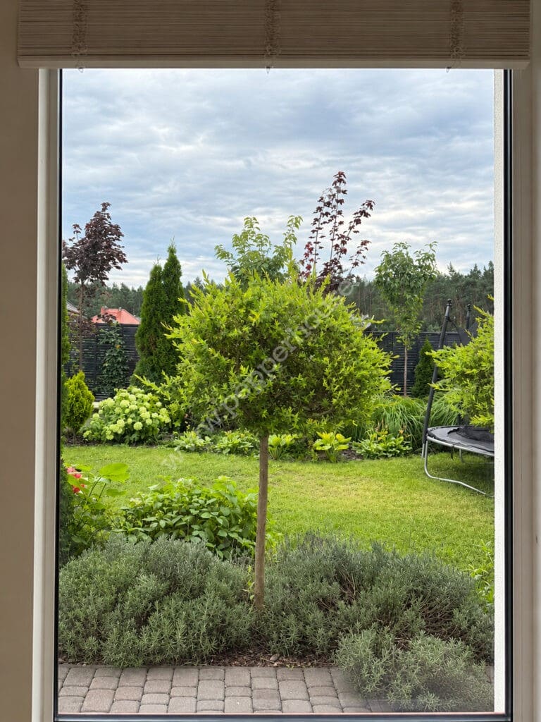 , kujawsko-pomorskie, Ciele - listing photo no. 6